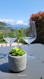 two wine glasses and a potted plant on a table at Appartamenti Vacanza Il Riale in Cannobio