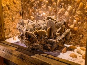 Fotografia z galérie ubytovania VisitZakopane - Willa Bajka Apartments v Zakopanom