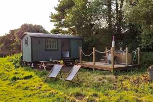 a tiny house sitting in a field with chairs at Kenny’s Hut in Cowfold