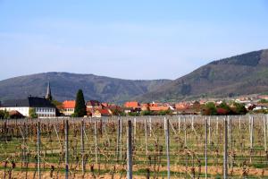 a vineyard with a town and mountains in the background at Idyll am Weinberg in Rhodt unter Rietburg +6 photos