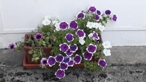 Zahrada ubytování d’un jardin à l’autre