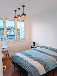 una camera con un letto e due finestre di Appartement 3 Chambres - 78m2 - Lumineux a Bihorel
