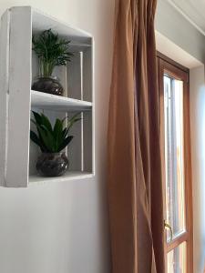 uma prateleira branca com plantas ao lado de uma janela em A casa di Miele em Campagnano di Roma