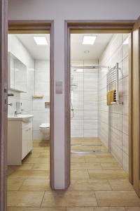 a bathroom with a shower and a toilet and a sink at Apartamenty P7 Dzierżoniów in Dzierżoniów