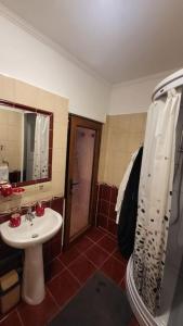 y baño con lavabo, aseo y ducha. en Casa in Oradea ! en Oradea