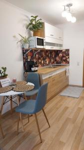 a kitchen with a table and two chairs and a table at Flowers in the Center in Oradea