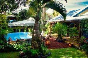 a garden with a palm tree and a swimming pool at Casa Babalahy in Saint-Pierre