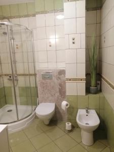 Willa Epiona في Stepnica: حمام مع مرحاض ودش ومغسلة