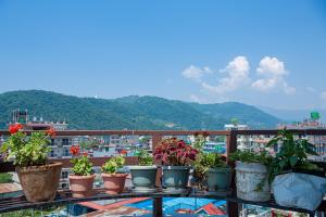 a group of potted plants sitting on a balcony at Subedi Apartment in Pokhara