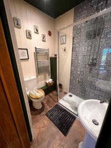 uma casa de banho com um chuveiro, um WC e um lavatório. em Waters edge em Cucklington