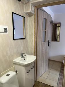 シュツァブニツァにあるWilla Safra Szczawnicaのバスルーム(洗面台、トイレ、鏡付)