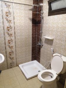 カイロにあるمساكن شيراتونのバスルーム(シャワー、トイレ付)