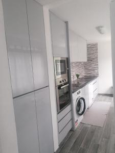 uma cozinha com um frigorífico e uma máquina de lavar e secar roupa em Casa Avós D'Ouro - Barqueiros, Mesão Frio, Douro em Mesão Frio