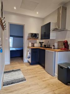 een keuken met blauwe kasten en een houten vloer bij Appartement au coeur de Vezelay - GALERIE 10 in Vézelay