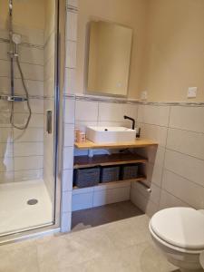 y baño con ducha, lavabo y aseo. en Appartement au coeur de Vezelay - GALERIE 10, en Vézelay