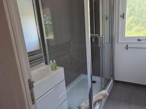 a bathroom with a shower and a sink and a mirror at Maison Monxanin in Gardouch +22 photos