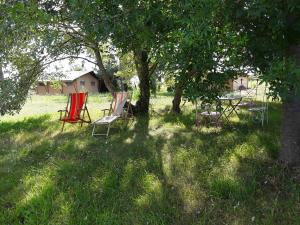 a group of chairs sitting in the grass under trees at Loge & Broc in La Possonnière