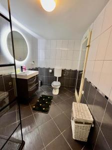 a bathroom with a toilet and a sink and a mirror at Apartment Nikolina in Trogir