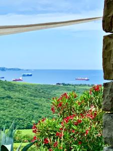 una vista sull'oceano da un muro con fiori di VILLA mandala ad Ancarano