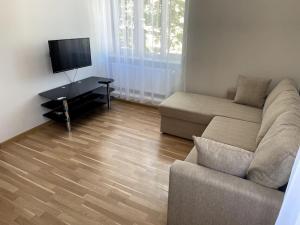 TV a/nebo společenská místnost v ubytování Cozy apartment near the city center, Lembitu