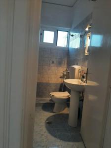 a bathroom with a toilet and a sink at Evelina 4 in Lixouri