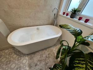 a white bath tub in a bathroom with a plant at Gower Getaway - Parking & Ensuite in Swansea