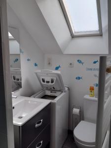 ein Bad mit einem Waschbecken, einem WC und einem Fenster in der Unterkunft Le Duplex, parking wifi aux portes de vannes in Vannes
