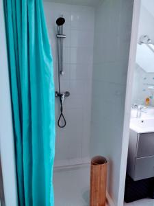 a shower with a blue shower curtain in a bathroom at Le Duplex, parking wifi aux portes de vannes in Vannes