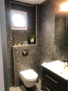 a bathroom with a toilet and a sink at TASOS PARADISE in Polychrono +18 photos