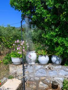 Giardino di Κοχύλι