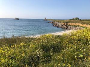 a beach with a bunch of rocks and flowers at L’évidence in Ploudalmézeau