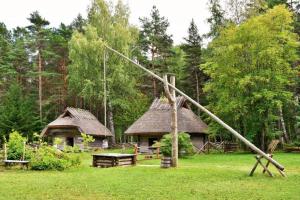 a swing set in a field with a hut at Tanuma Apartment in Tallinn