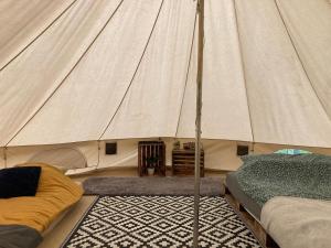 米德茲布德茨比艾斯科的住宿－Glampspace - Szlak Beskidzki，带帐篷的房间,配有一张床和地毯