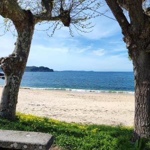 ブエウにあるApartamento Playa Bueuの海岸の木とベンチ
