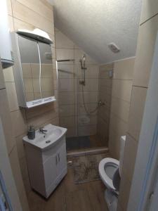 a bathroom with a shower and a toilet and a sink at Nice view-Plitvice in Korenica +25 photos