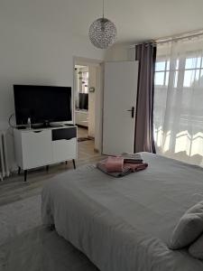 1 dormitorio con 1 cama grande y TV de pantalla plana en Chambre Ruaudin, en Ruaudin