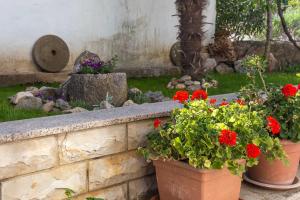 dos macetas de flores en una pared de piedra en Apartments House Risika, en Risika