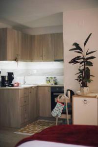 a kitchen with wooden cabinets and a potted plant at Το Σπίτι Της Ευτυχίας στούντιο in Karpenisi