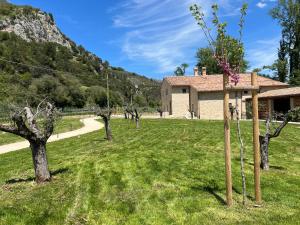 a field with trees in front of a building at MulinoNera in Montefranco