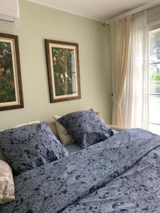 a bedroom with a bed with blue sheets and a window at Maison de ville dans la Villa Brise des Pins in Le Cannet