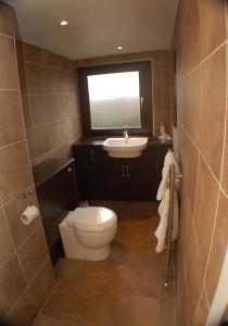 ein Bad mit einem WC, einem Waschbecken und einem Fenster in der Unterkunft The Dutch Mill Hotel in Aberdeen