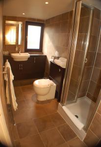 a bathroom with a toilet and a sink and a shower at The Dutch Mill Hotel in Aberdeen