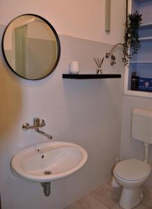 a bathroom with a sink and a toilet and a mirror at Jungle & Sea Boxavia in Božava