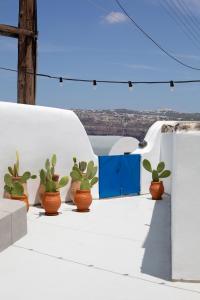 une rangée de plantes en pot sur un bâtiment blanc dans l'établissement Amphora Villas Santorini Akrotiri, à Akrotiri