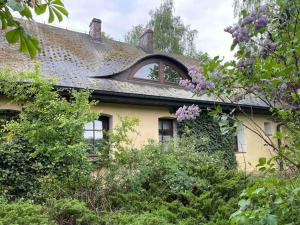 an old house with a shingled roof and trees at Komfortowy dom w lesie in Miedzichowo