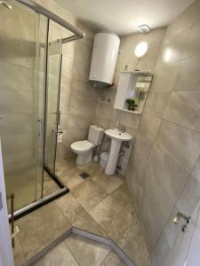 W łazience znajduje się prysznic, toaleta i umywalka. w obiekcie Apartment Perla w Prisztinie
