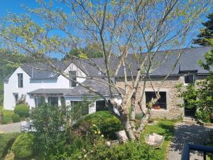 ein weißes Haus mit einem Baum im Hof in der Unterkunft Ty Coz Breizh Chambres d'hôtes in Guidel