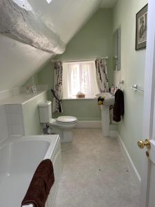a bathroom with a toilet and a sink at Stone House in Kington