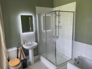 a bathroom with a shower and a toilet and a sink at Stone House in Kington