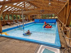 una gran piscina con 2 personas y 2 perros. en Pension Weghof mit Gasthaus en Böbrach